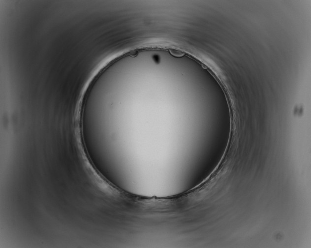 X0000103451392200809121417