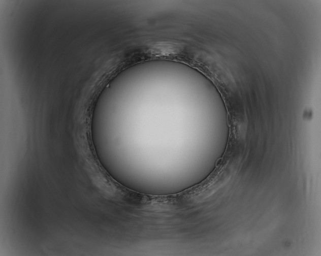 X0000103451393200809121416