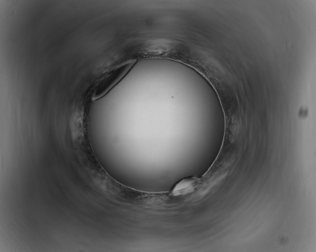 X0000103451394200809121416