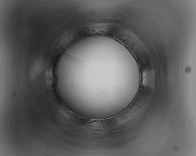 X0000103451395200809121416
