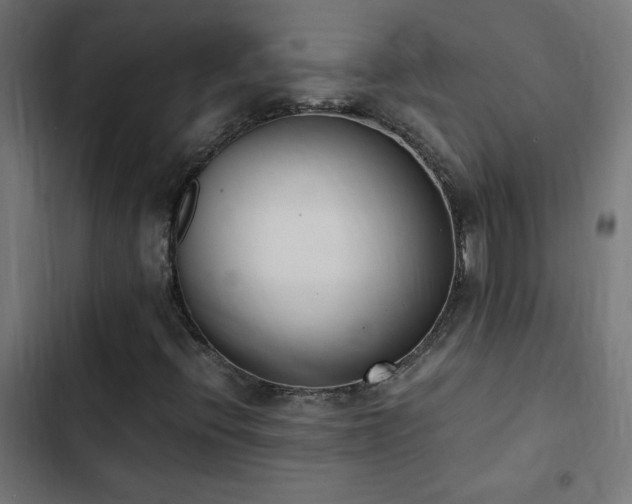 X0000103451396200809121416