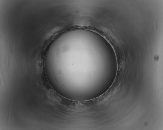 X0000103451398200809121416