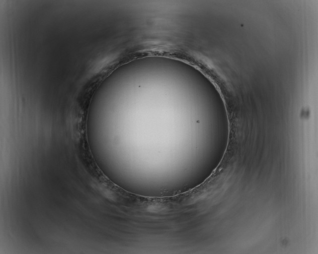 X0000103451399200809121416