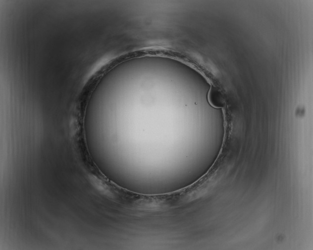 X0000103451400200809121416