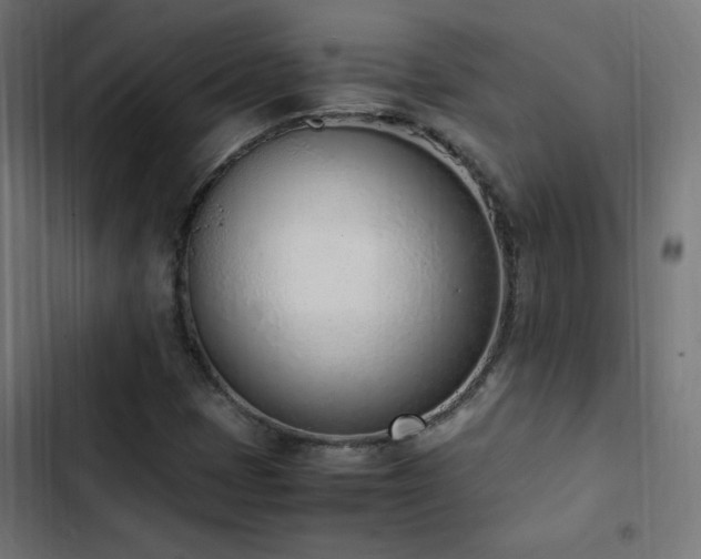 X0000103451401200809121416