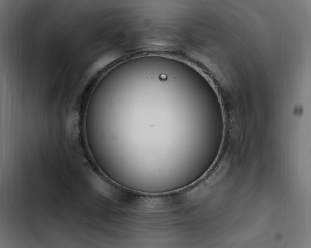 X0000103451402200809121416