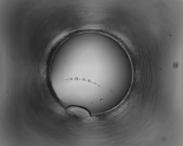 X0000103451406200809121416