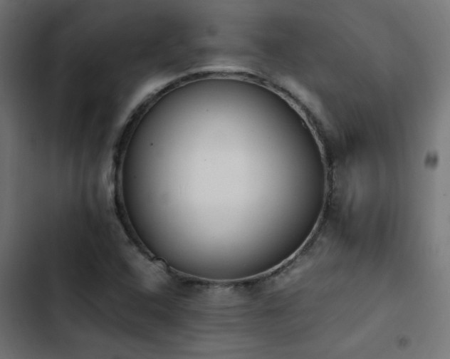 X0000103451408200809121416