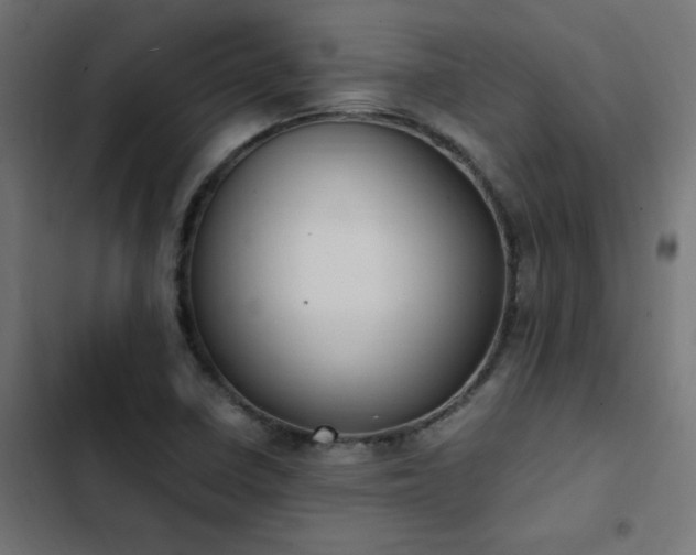 X0000103451410200809121416