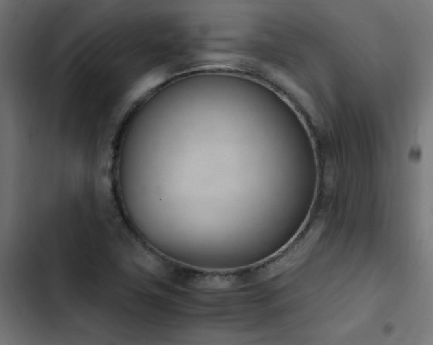 X0000103451411200809121416