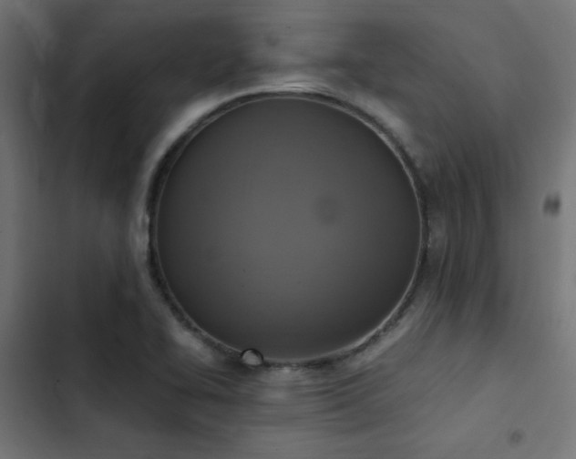 X0000103451414200809121416