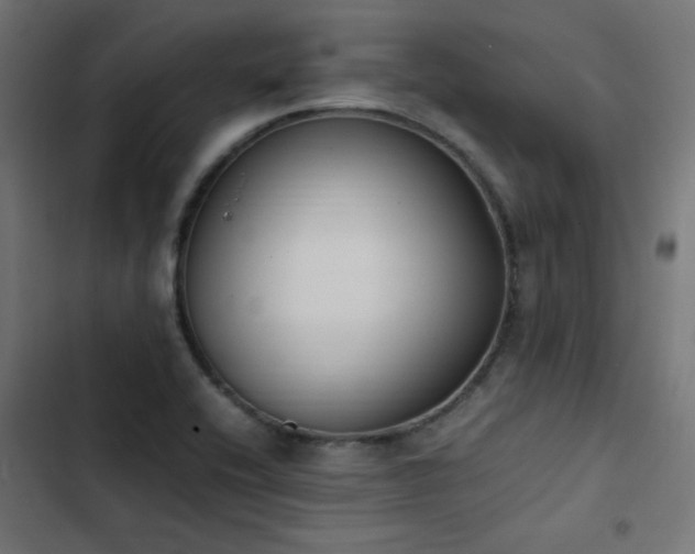 X0000103451416200809121416