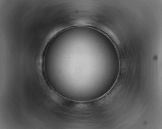 X0000103451419200809121416