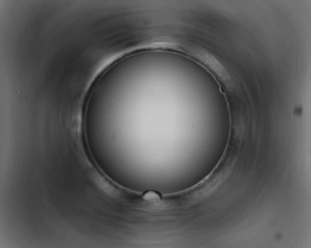 X0000103451420200809121416