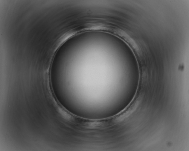 X0000103451425200809121417