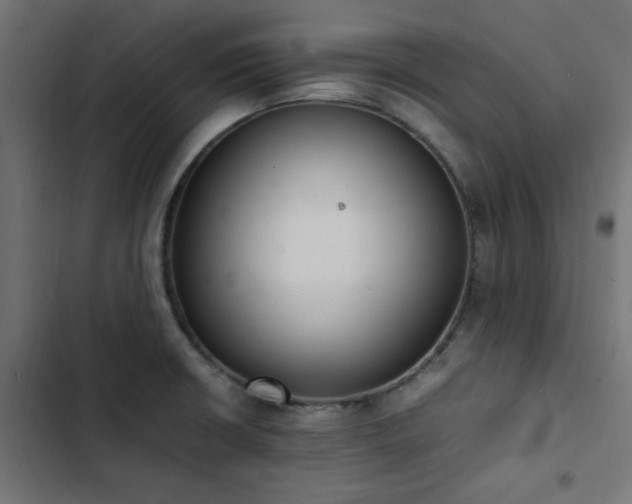 X0000103451426200809121417