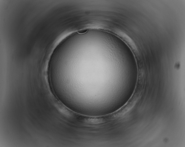 X0000103451427200809121417