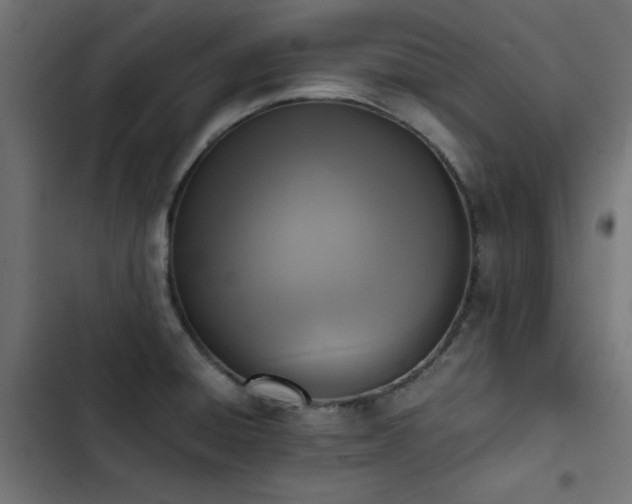 X0000103451428200809121417