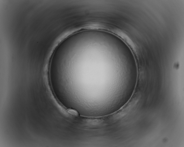 X0000103451429200809121417