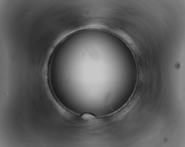 X0000103451430200809121417