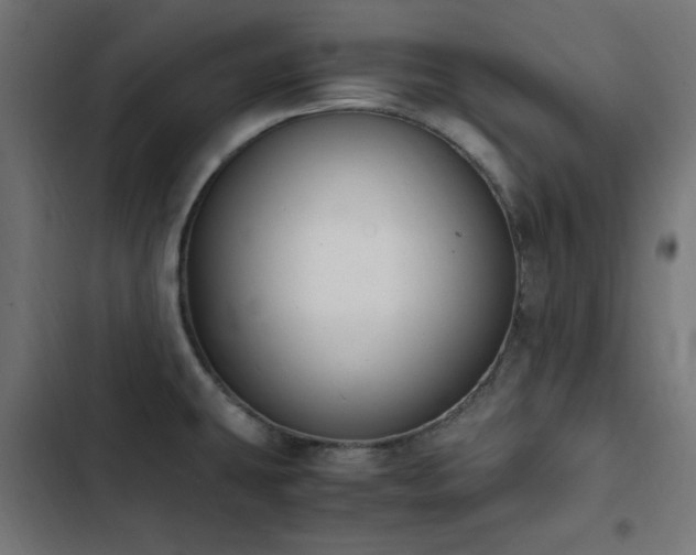 X0000103451431200809121417