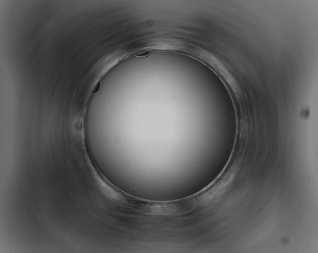 X0000103451433200809121417