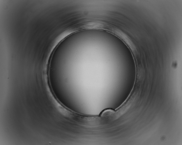 X0000103451434200809121417