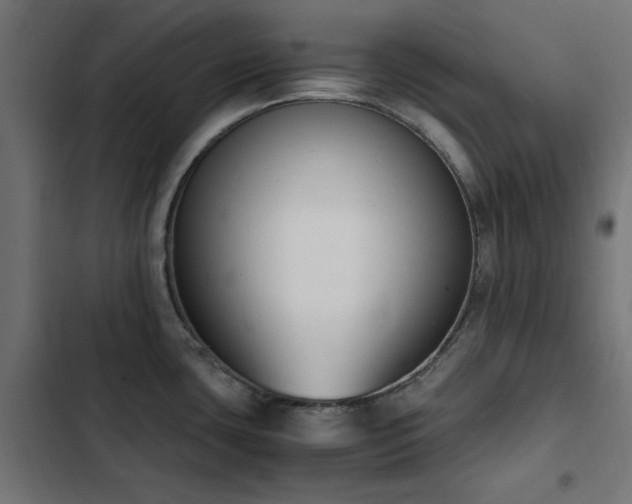 X0000103451435200809121417