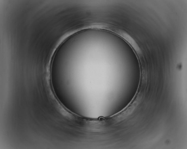 X0000103451436200809121417