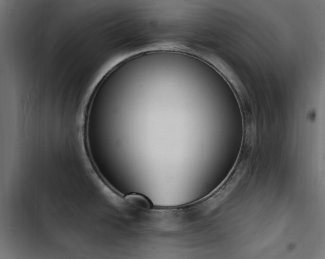 X0000103451438200809121417