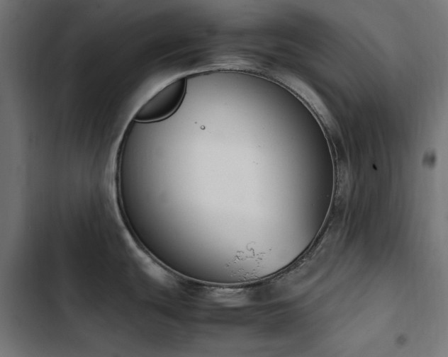 X0000103451439200809121417