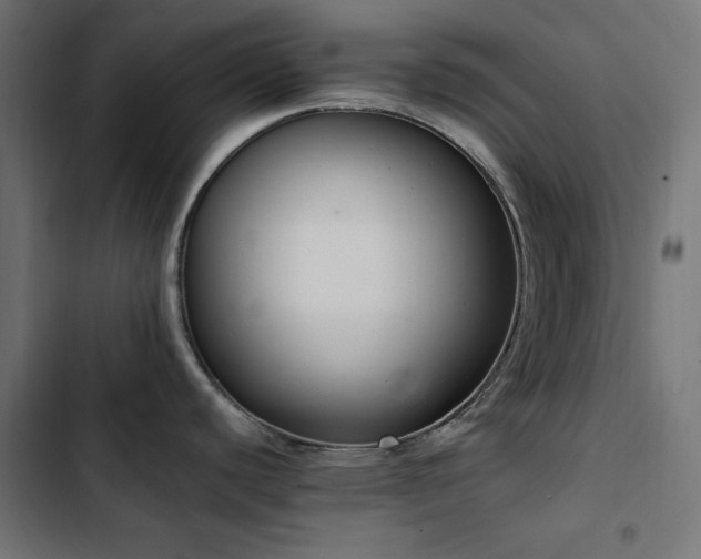 X0000103451440200809121417