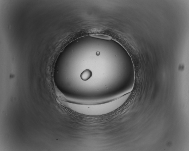 X0000103451441200809121416
