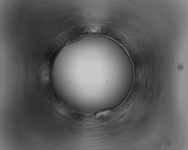 X0000103451442200809121416