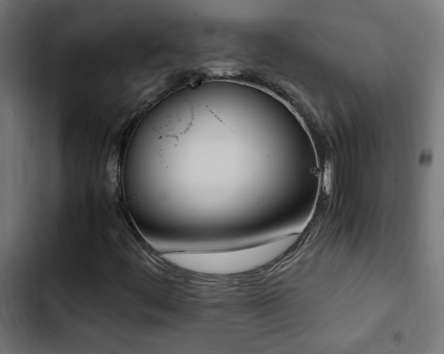 X0000103451444200809121416