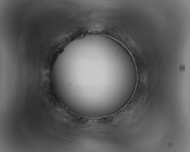 X0000103451445200809121416