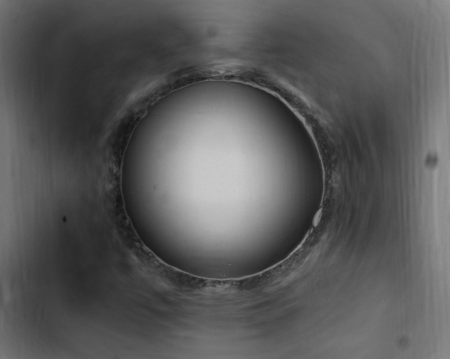 X0000103451447200809121416