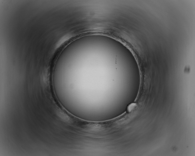 X0000103451450200809121416