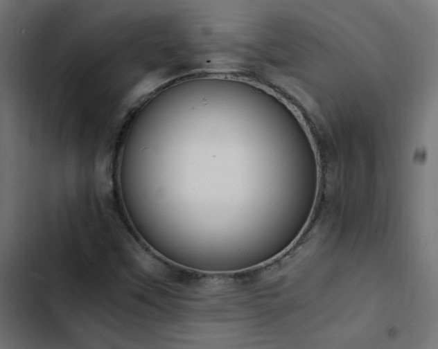 X0000103451451200809121416