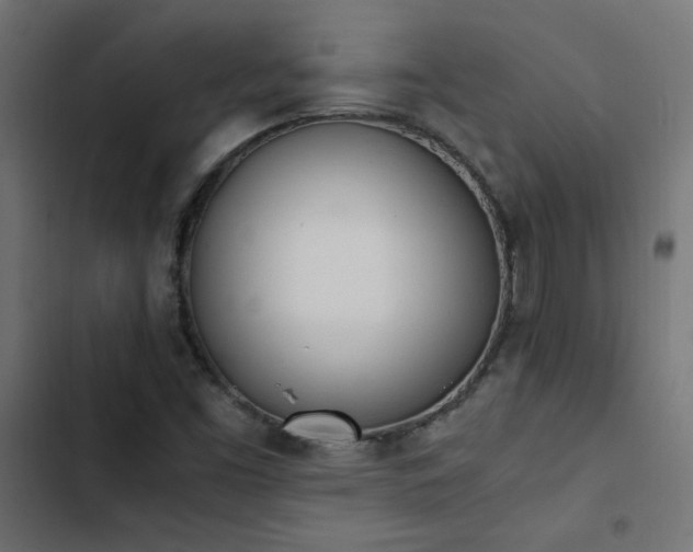 X0000103451453200809121416