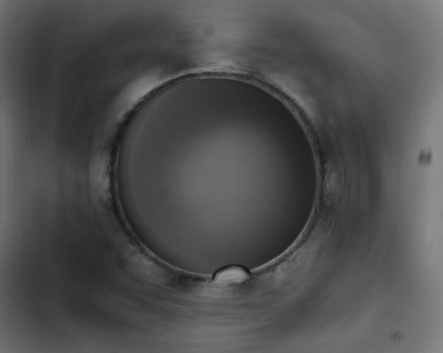 X0000103451455200809121416