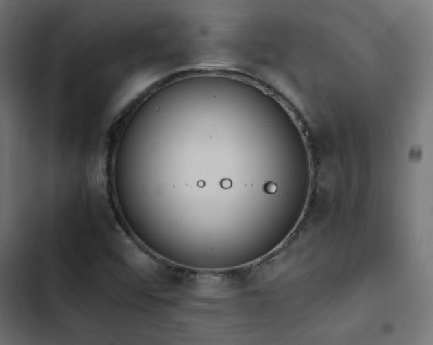 X0000103451456200809121416