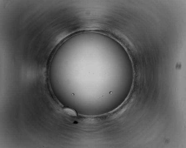 X0000103451457200809121416