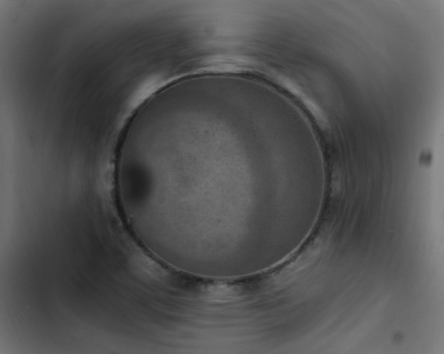 X0000103451459200809121416