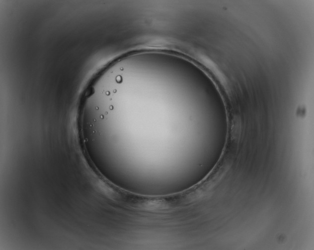 X0000103451464200809121416