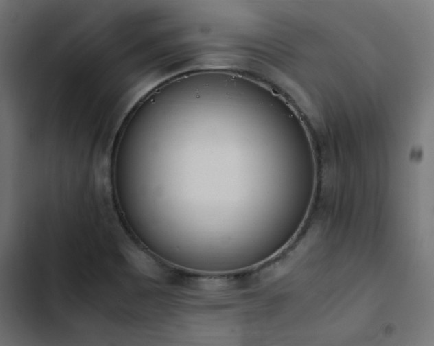 X0000103451465200809121416