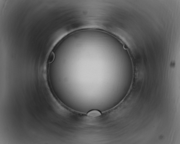 X0000103451468200809121416