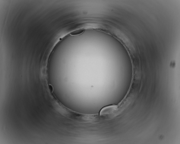 X0000103451473200809121416