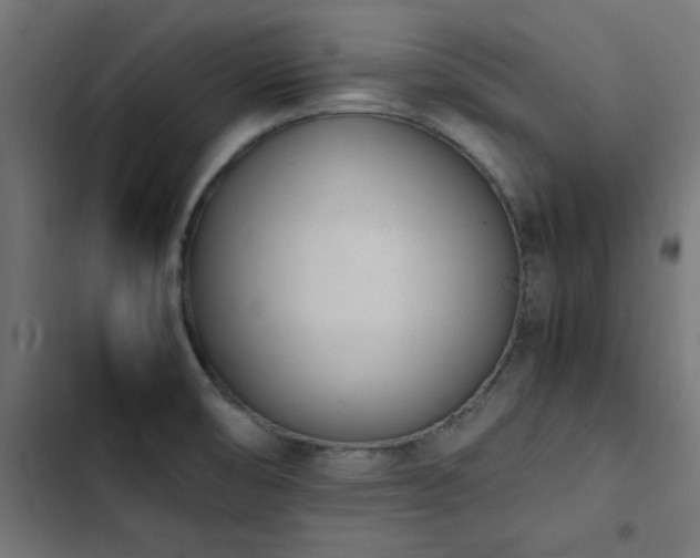 X0000103451474200809121415