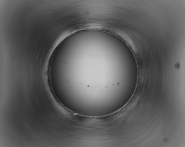 X0000103451475200809121415